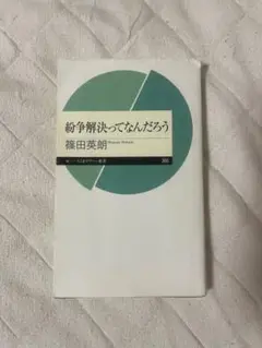 紛争解決ってなんだろう 篠田英朗