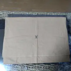 Louis Vuitton ルイ・ヴィトン保存袋