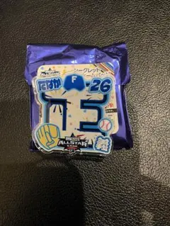 オールスター シークレットアクリルネームバッジ 田中正義 日本ハムファイターズ