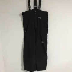ノースフェイス THE NORTH FACE ゴアテックス スノボー スキー