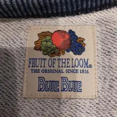 激レア『FRUIT OF THE LOOM×BLUE BLUE』コラボカットソー