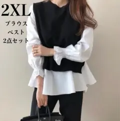 新品 春 2点セット ニット ブラウス レディース 長袖 ベスト シャツ ジレ