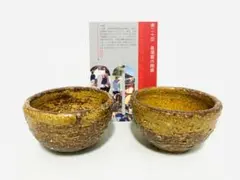 Item thumbnail for item 21503768-73b1-4240-afbf-3ba202922525