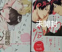 組換可 未開封有 くらのね吉 10年分の答えあわせ はやし燈 ささくれとシロップ