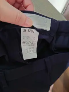 Item thumbnail for item 600cf5e6-ef92-4f01-92c7-efa2d9d44c35