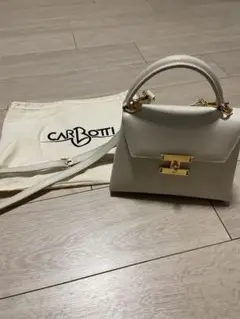 【7日0時〜24h限定ポイント5倍】 カルボッティ CARBOTTI 2WAYバッグ DIANA ダイアナ P321 PALMELLATO