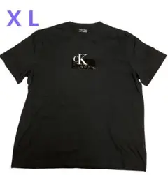 Calvin Klein ロゴ Tシャツ ブラック X L