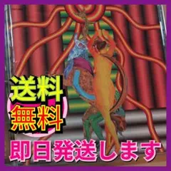 即日発送【送料無料】松任谷由実 26枚目『THE DANCING SUN』