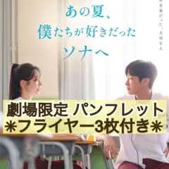 韓国 映画 あの夏、僕たちが好きだったソナへ パンフレット & フライヤー3枚