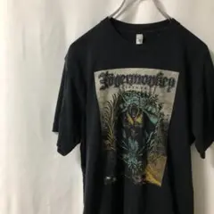 N-4206 American Apparel アメリカ古着 デーモン Tシャツ