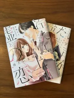 冷たい上司と嘘の恋 ～さよならの代わりに～ 上下2巻セット