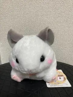 2025年最新】ころはむコロン チラくんの人気アイテム - メルカリ
