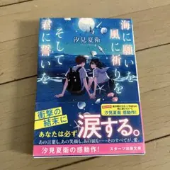 海に願いを 風に祈りを そして君に誓いを