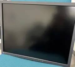 EIZO FLEXSCAN S2133-BK LCDモニター ブラック