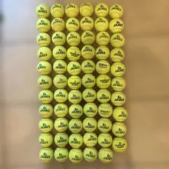 St. JAMES テニスボール Dunlop Tour 65球