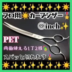 Item thumbnail for item e6fb30c3-1e06-463c-88f7-1a6a127b8b14
