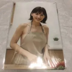 綾瀬はるか ブリキ 看板1