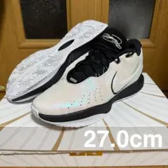 NIKE レブロン21 Conchiolion 27.0cm バッシュ