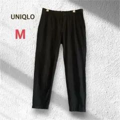 Item thumbnail for item 045a54e3-a7c4-4926-afcc-deea15cbf16d