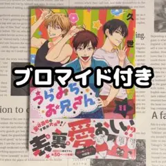 うらみちお兄さん 11巻 通常版 楽天コレクション 特典 ブロマイド付き