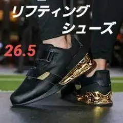 2025年最新】リフティングシューズ tyrの人気アイテム - メルカリ