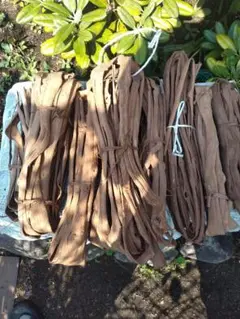 山葡萄蔓