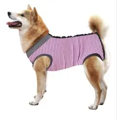 Item thumbnail for item da22516b-d06c-41f4-a3ca-7cf8d18fce30