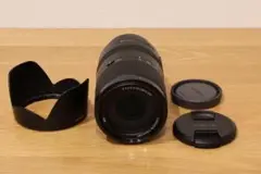 Sony E 70-350mm F4.5-6.3 G OSS SEL70350G