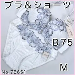 ブラジャーショーツセットＢ75 No.75651