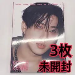 チャンビン　アルバム　accordion 未開封　3枚　KARMA