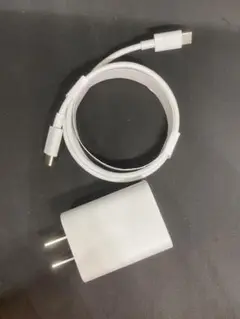 【未使用】Google 純正品18W USB-C Power Adapter