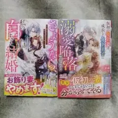 さようなら、私の白すぎた結婚・仮初の年上妻は成長した年下王子に溺愛　2冊セット