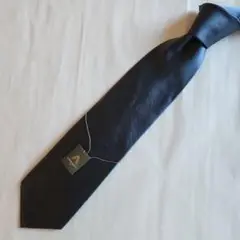 〈新品〉ANNA GABETTI ITALY 日本製 ブルー光沢 シンプル