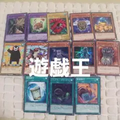 遊戯王OCG デュエルモンスターズカードセット 13枚