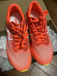 Item thumbnail for item 5d029984-a3e4-4771-9780-cc21fe564254