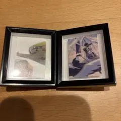 ワンピース　ウインドウアートコレクション　ロー　サボ