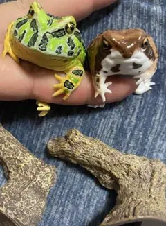 カエルフィギュアセット 木の枝付き