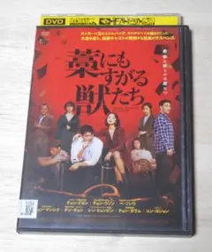 ⑥）レンタル落ち・現状お渡し　藁にもすがる獣たち　・DVD