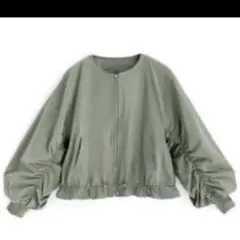 Item thumbnail for item 1bbc6e71-9e2c-41d1-92ef-45205aac51dd