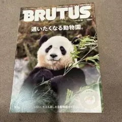 BRUTUS(ブルータス) 2023年3月15日号