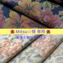 Mitsu☆断捨離中(プロフ読んでね！)様 リクエスト 2点 まとめ商品