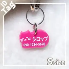 Item thumbnail for item 8d9194d1-f37f-424b-8d20-30c4f8f19cb1