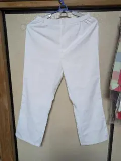 Item thumbnail for item d8af7c73-43ad-4f73-97b5-ea924f2f5048