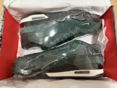 Item thumbnail for item 9b8fd570-c349-415a-a35f-d17c81481268