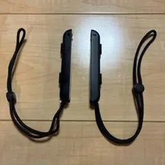 2本セット 任天堂 ニンテンドースイッチ ジョイコンストラップ HAC-014