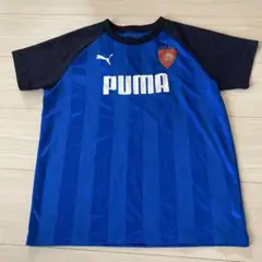 PUMA FC ストライプ Tシャツ 青