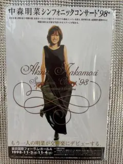 新品　中森明菜　イメージオマージュアルミプレートブリキ看板13