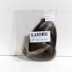 Item thumbnail for item b8d88b52-727a-49c2-8083-4536c3251d10