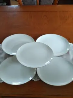多用皿