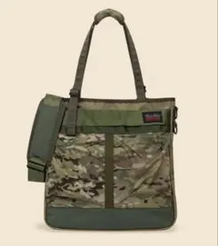 Item thumbnail for item 468ff967-c890-4808-bfe0-679cfd79c31e